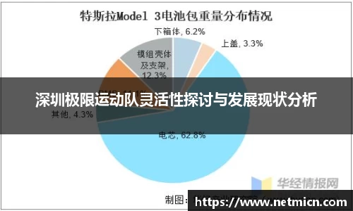 深圳极限运动队灵活性探讨与发展现状分析