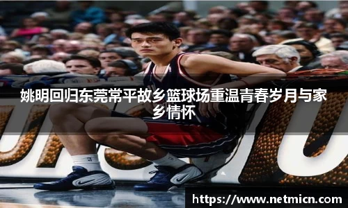 球速体育