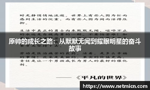 球速体育官方