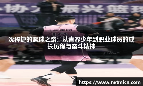 球速体育平台登录入口