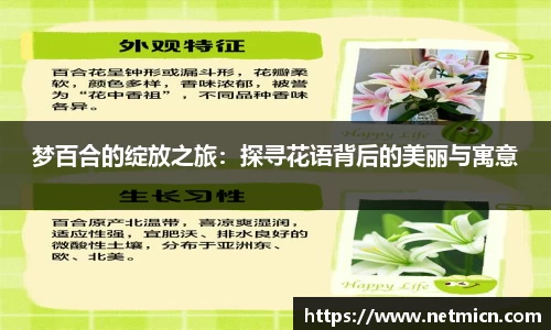 球速体育平台登录入口